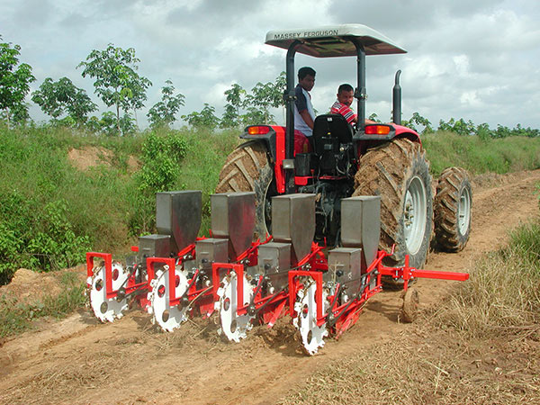 planting-4